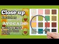 AVOCADO TOAST palette SWATCHES | BH COSMETICS | Close Up