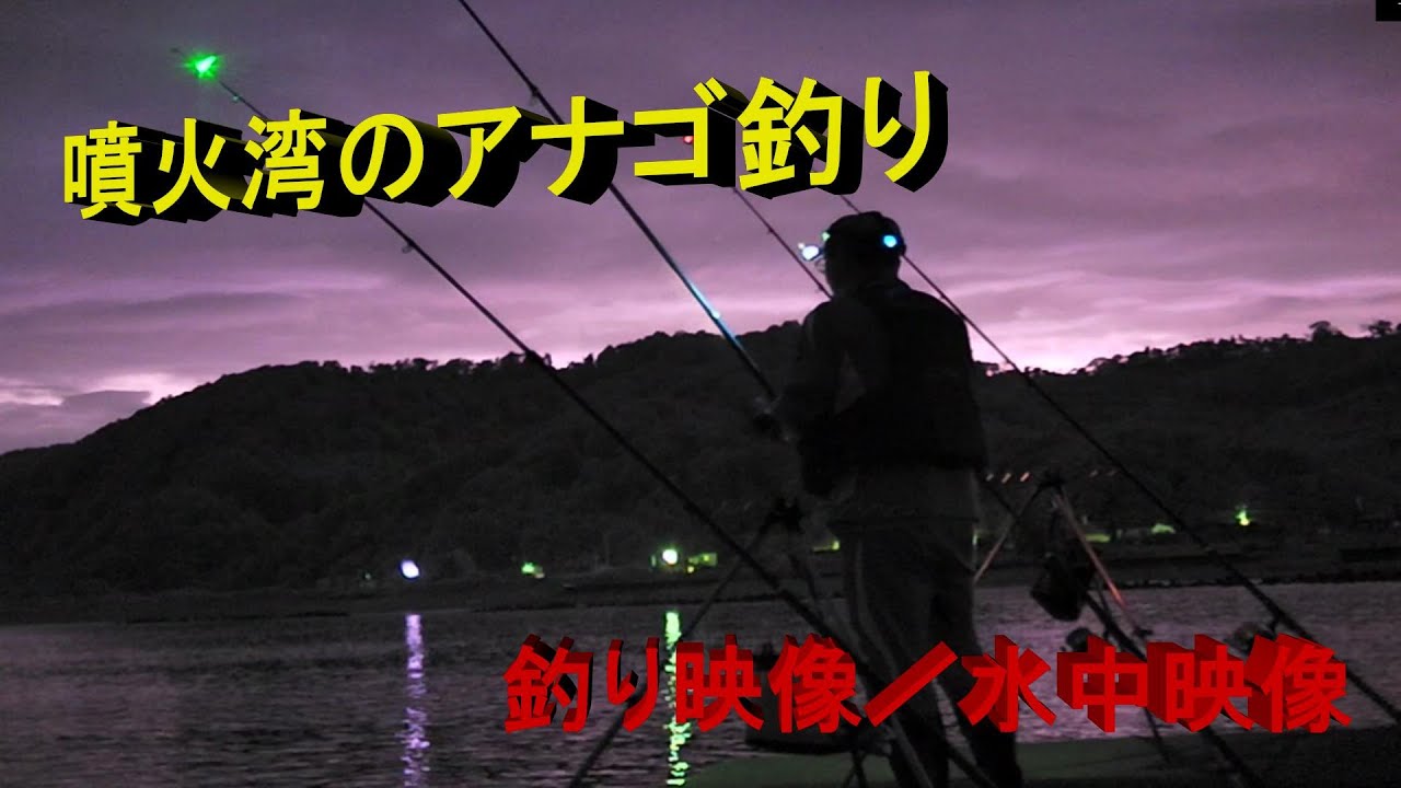 北海道の釣り 釣り映像 水中映像 噴火湾のアナゴ釣り Youtube