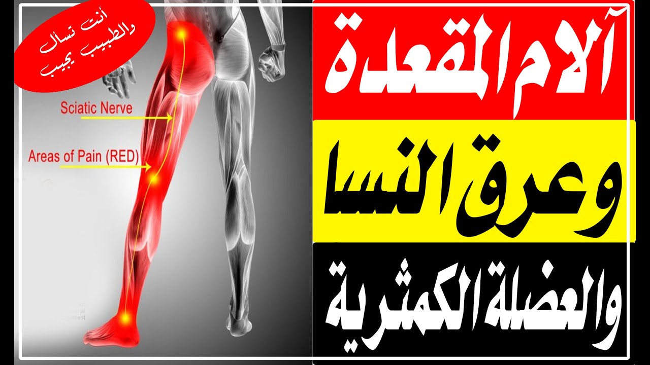 آلام المقعدة وعرق النسا والعضلة الكمثرية/ أ.د.محمد حمادة أستاذ علاج الألم بطب الازهر