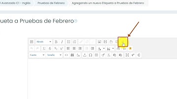 Cómo usar el editor de texto de moodle para entregar tareas orales en vídeo