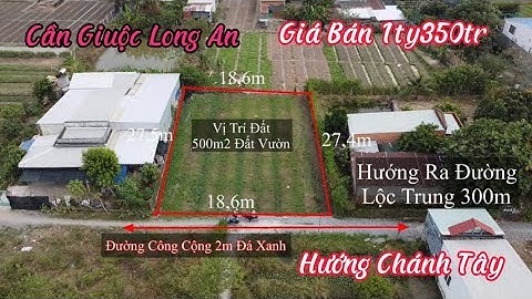 Bán 500m2 (18,6x27,5m) Đất Vườn Sổ Hồng Riêng Ấp Lộc Trung Mỹ Lộc Cần Giuộc Long An