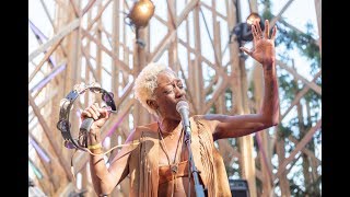 Revel in Dimes - Dead and Gone - Treeline Stage @Pickathon 2018 S05E01