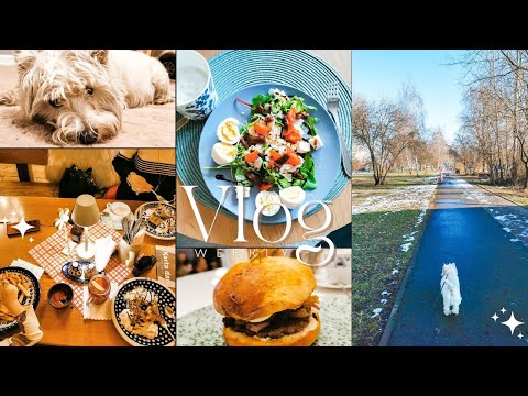 VLOG✨: ZAKUPY DLA PSA | RANDKA🍹🍔 | MAŁE PRZYJEMNOŚCI | CZEGO NIE LUBIĘ W SOBIE 🤔🤨