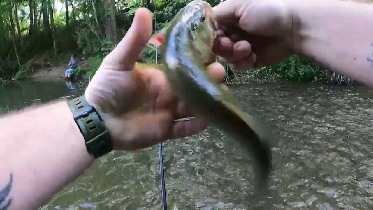 Ohio creek bass fishing😎