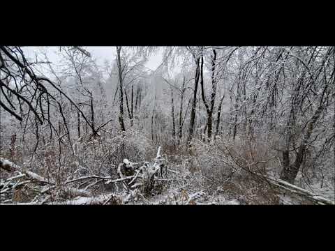 Song Without Words (2021-01-27)