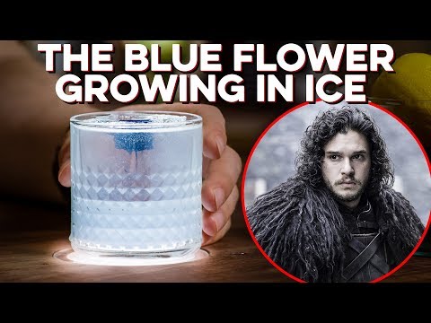 Blue Flower Growing