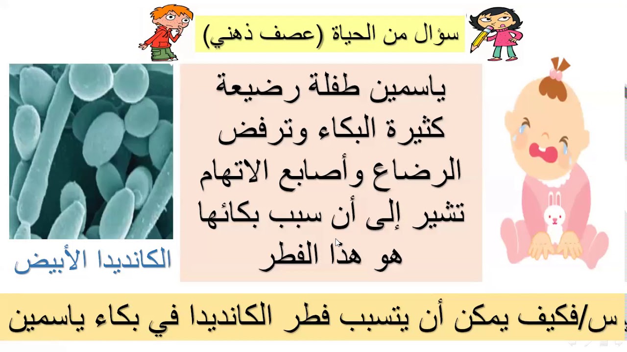 مدخل إلى الفطريات