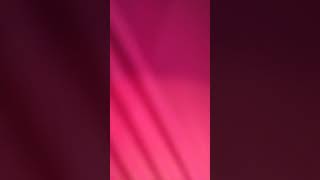 The REASON by Debra Lea. Ryan - 21/22.03.2026