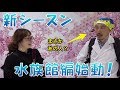 【カメラ】ギョギョ! 知っておきたい水族館でのISO設定やレンズ選び【SIGMA】 アクアパーク品川編第1話