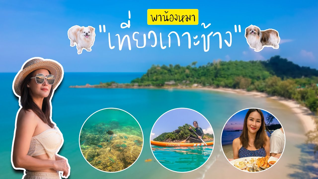 เที่ยวเกาะช้าง 3 วัน 2 คืน ฉบับพาน้องหมาไปด้วย | กานต์ OK