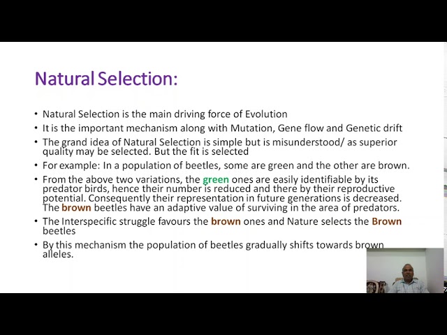 Natural Selection – The Force of Evolution Part – 3
