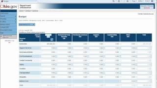 ODE - Understanding the Budget and Budget Details within CCIP