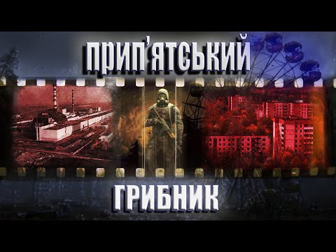 СТРАШНІ ІСТОРІЇ. СТАЛКЕР!