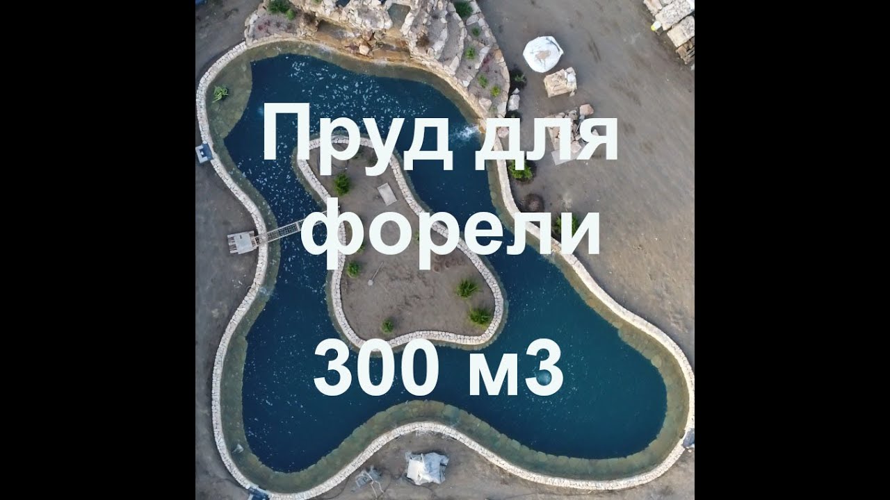 Красивый пруд для форели