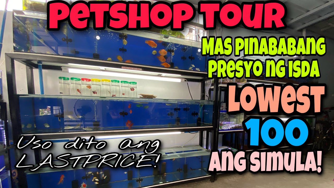 TOURMAS PINABABANG PRESYO NG ISDA LOWEST 100 ang SIMULA!USO