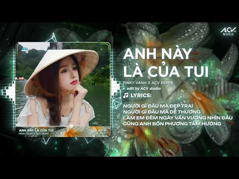 Anh Này Là Của Tui Remix (Ver 👍 TikTok) | Pinky Vanh - Người Gì Đâu Mà Đẹp Trai, Người Gì Đâu Mà