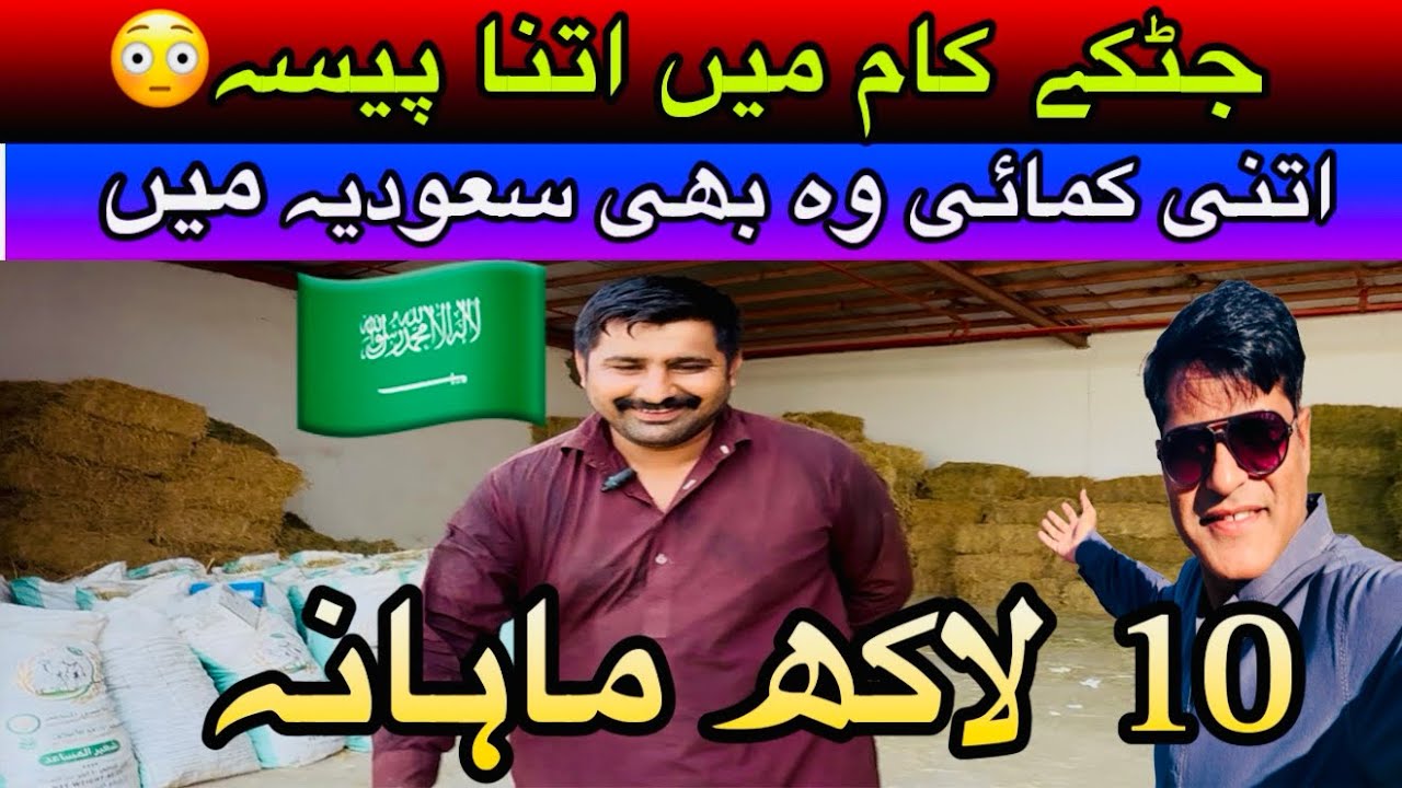 How Saudi Arabia Makes BILLIONS from Jatka Work