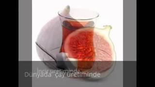 Türkiye hakkında ilginç bilgiler