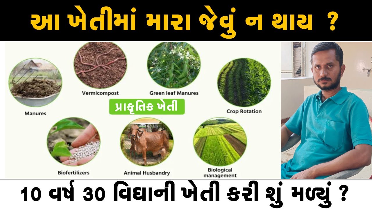 શિક્ષિત ખેડૂતની સમજવા જેવી વાત-આંધળુ અનુકરણ ન કરતા ll પૈસા કમવા હોય તો બીજી ખેતી કરજો આ ન કરતા  ll