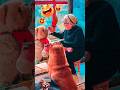 🎬 Funny Pet Compilation - Working Dog & Cuddly Cats! 😂 #entertaininganimals #pets #hilariousfails