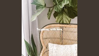 Alluring Ambience for Iconic Times