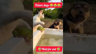 comedy videos ?? dog and cat funny videos ?? very funnydog videos funnytrending youtubeshorts