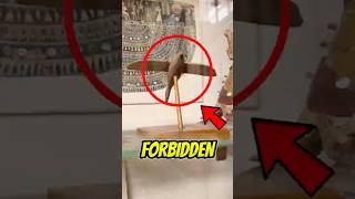 Forbidden Ancient Discoveries Exposed