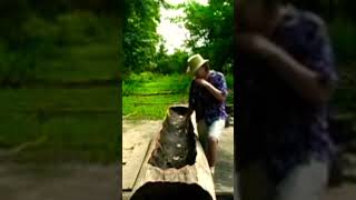 Let’s Build a Native American Dugout Canoe!