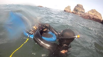 Freediving for Abalone and Lingcod