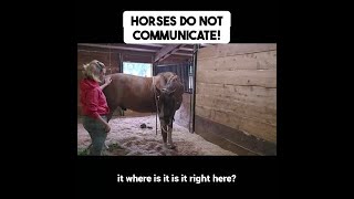 Subtle communication is clearly not his strong suit.