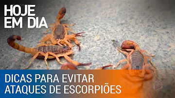 Como os escorpiões se defendem de predadores?