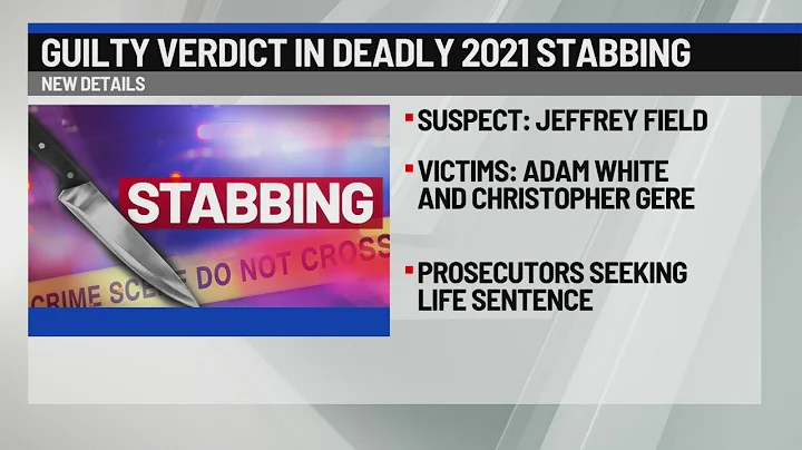 Guilty verdict in fatal 2021 stabbing