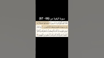 سورة البقرة من (66 - 67) |القارئ الشيخ : سعد الغامدي#سعدالغامدي #القران_نور_حياتي #القرآن_حياة