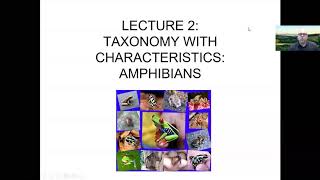 Lecture 2: Taxonomy of Extant Amphibians: Anurans