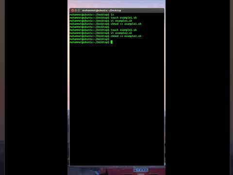 Linux Shell Script - Executing Multiple Scripts #022 #shorts