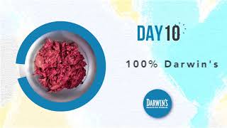 How to Transition Your Dog to Raw | Darwin’s Natural Pet Products