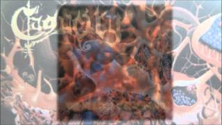 Caducity - The Whimsical Crafts of Enchantment