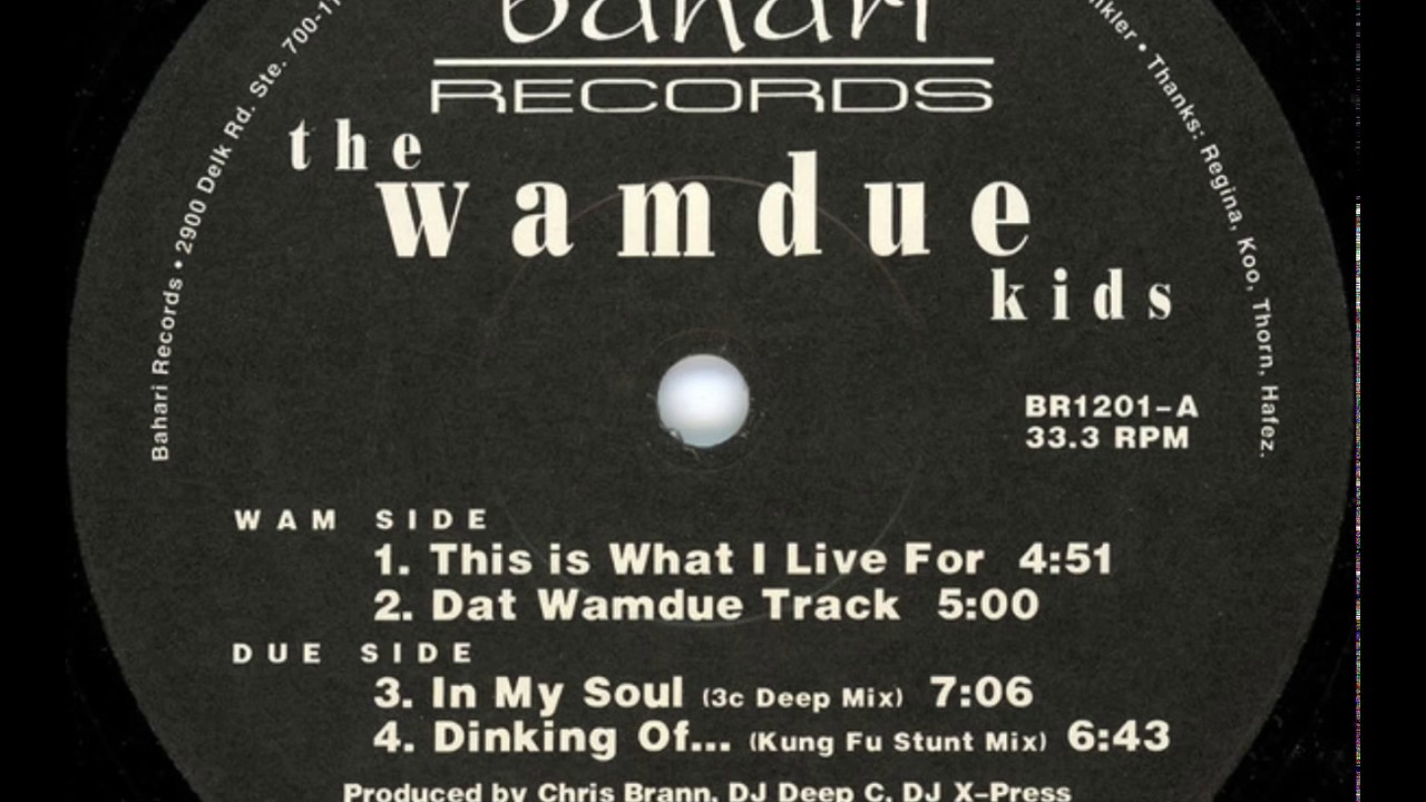 The Wamdue Kids - In My Soul (3c Deep Mix)