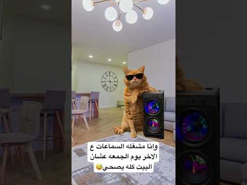 وفي الاخر يقومو يضربوني اكسبلور حالات واتس ترند كوميديات الجمعة