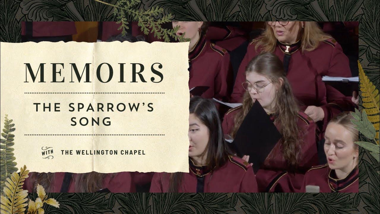 The Sparrow's Song - YouTube