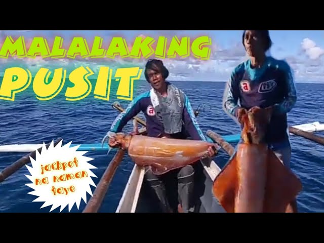 How To Make Squid Jig Hook With Barb To Catch Big Calamari And