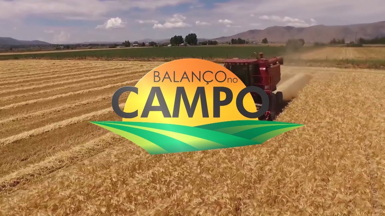 Balanço no Campo Especial