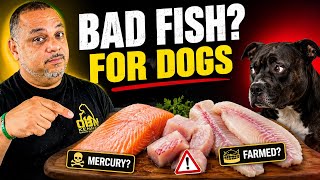 5 Non-Toxic Foods I’d Still Never Feed My Dogs
