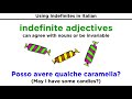Indefinite Adjectives and Pronouns in Italian