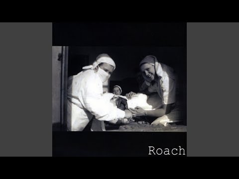 Brown Chevy Nova adlı videoyu YouTube'da izle Brown Chevy Nova adlı videoyu YouTube'da izle