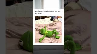 🐸 Why is Kermit always spitting facts? 💯 #Memes #FrogLife #MemeDrop #CursedMemes