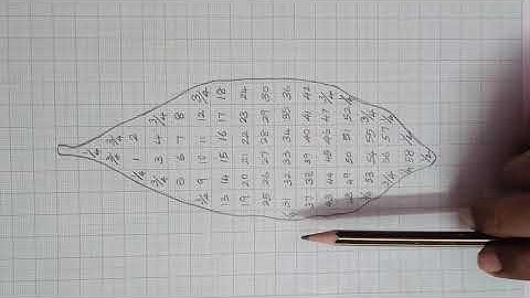 7th Science Term 1 Unit 1 Activity - Measurement of Area of Irregular Objects