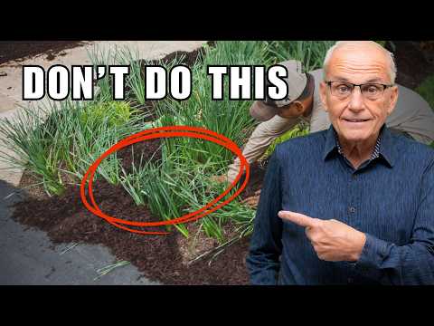How I Would Learn Landscaping if I Had to Start Over in 2026