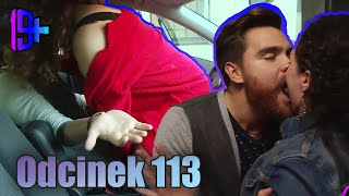 19  | ODCINEK 113