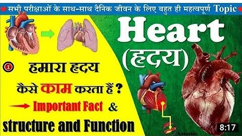ह्रदय कैसे काम करता है ? ह्रदय की संरचना एवं कार्य | Human Heart & Its Function in Hindi
